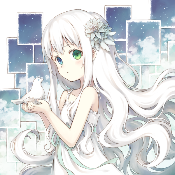 Anime picture 1000x1000 with original 104 single long hair looking at viewer blush fringe open mouth blue eyes white background bare shoulders holding green eyes white hair hair flower heterochromia floating hair bird on hand girl dress