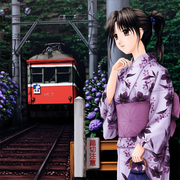 Anime picture 1024x1024 with original ntake toukasaien single long hair black hair brown eyes looking away ponytail traditional clothes japanese clothes girl flower (flowers) kimono obi train hydrangea