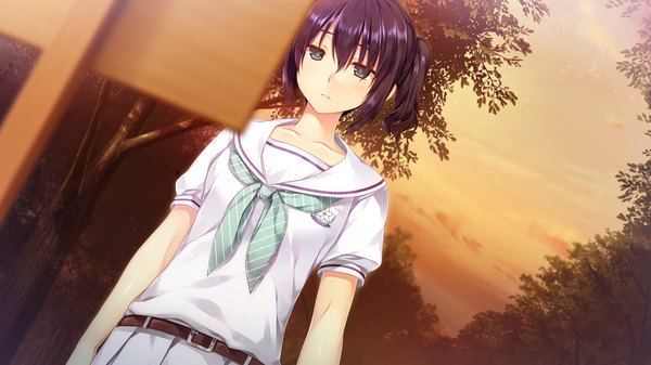 Anime picture 1280x720 with boku no hitori sensou akabei soft2 maewaki shinobu single looking at viewer short hair blue eyes black hair wide image game cg girl uniform plant (plants) school uniform tree (trees)