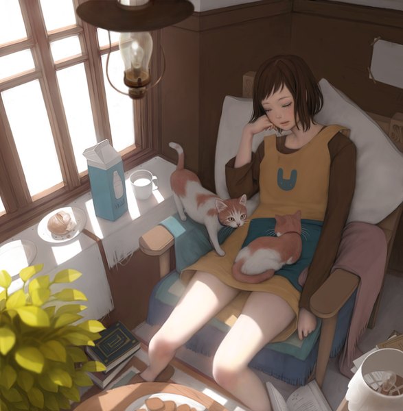 Anime picture 1024x1047 with original mujiha (mlog) single long hair tall image open mouth brown hair sitting bent knee (knees) eyes closed from above sunlight sleeping sunbeam girl plant (plants) animal food shoes window