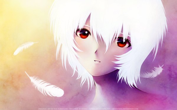 Anime picture 2560x1600 with neon genesis evangelion gainax ayanami rei kobayashi yuji missnysha single highres short hair red eyes wide image white hair light smile wallpaper portrait face girl feather (feathers)