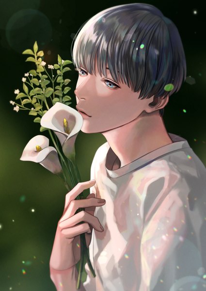 Anime picture 650x918 with original kurayoshi samu (sum) single tall image fringe short hair blue eyes simple background holding looking away upper body grey hair lens flare green background boy flower (flowers) plant (plants)