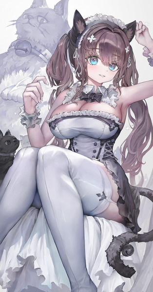 Anime picture 1078x2061 with original voruvoru single long hair tall image looking at viewer blush fringe breasts blue eyes light erotic simple background hair between eyes brown hair large breasts white background sitting twintails animal ears cleavage