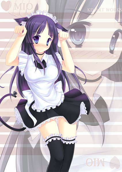 Anime picture 800x1131 with k-on! kyoto animation akiyama mio caidychen single long hair tall image blush blue eyes animal ears purple hair tail animal tail cat ears maid cat girl cat tail zoom layer girl thighhighs