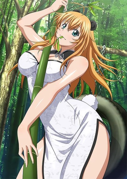Anime picture 600x847 with ikkitousen sonsaku hakufu single long hair tall image looking at viewer breasts blue eyes light erotic blonde hair animal ears traditional clothes fake animal ears chinese clothes girl plant (plants) chinese dress bamboo