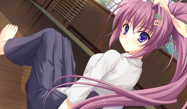 Anime picture 1024x600 with tsukumonotsuki long hair blue eyes wide image game cg purple hair ponytail girl hair ornament hairclip
