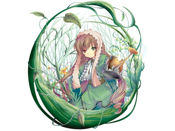 Anime picture 1024x768 with rozen maiden suiseiseki single long hair looking at viewer fringe smile red eyes brown hair holding green eyes wide sleeves heterochromia spread arms girl dress plant (plants) headdress leaf (leaves) green dress