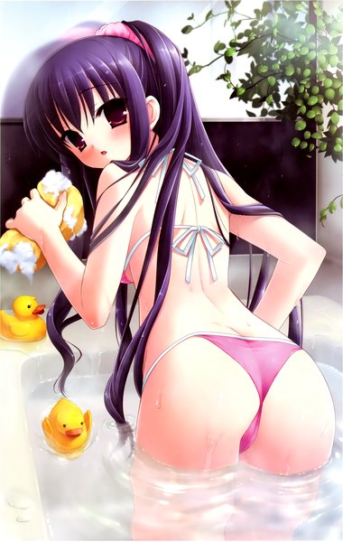 Anime picture 1729x2729 with natsu no ame segawa rikako kanekiyo miwa single long hair tall image looking at viewer blush highres light erotic red eyes purple hair ass looking back scan girl underwear panties swimsuit plant (plants)