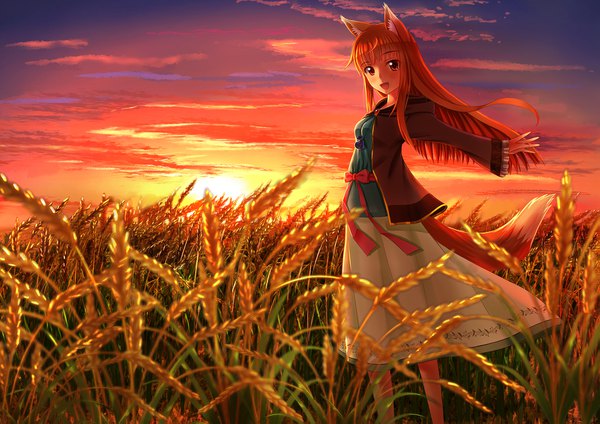Anime picture 2047x1447 with spice and wolf horo sion005 single long hair looking at viewer blush highres open mouth smile red eyes standing animal ears sky cloud (clouds) outdoors tail :d animal tail orange hair