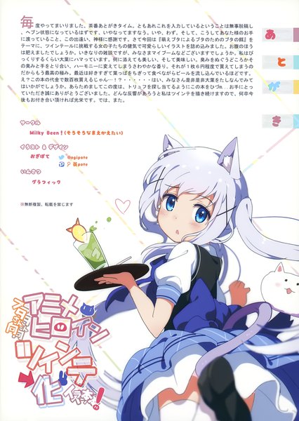 イラスト 2485x3500 と ご注文はうさぎですか? milky been! (ogipote) - アニメヒロインツインテ化イラ本 (artbook) white fox 香風智乃 ティッピー 荻pote ソロ 長髪 長身像 カメラ目線 highres 青い目 ツインテール 獣耳 青い髪 尻尾 animal tail looking back 猫耳 scan