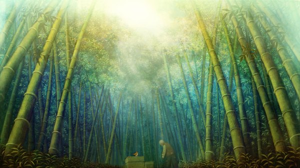 Anime picture 1900x1070 with original nifui (artist) highres short hair wide image white hair nature boy plant (plants) animal tree (trees) bird (birds) forest box bamboo