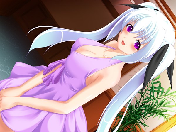 Anime picture 1200x900 with momoiro choukyou fukazawa inori breasts light erotic purple eyes twintails game cg white hair girl dress plant (plants)
