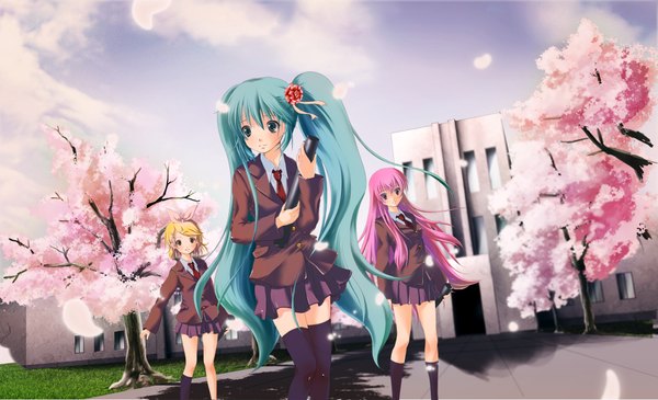 Anime picture 4112x2503 with vocaloid hatsune miku megurine luka kagamine rin long hair highres short hair blonde hair wide image twintails multiple girls green eyes pink hair absurdres hair flower aqua hair cherry blossoms graduation girl thighhighs