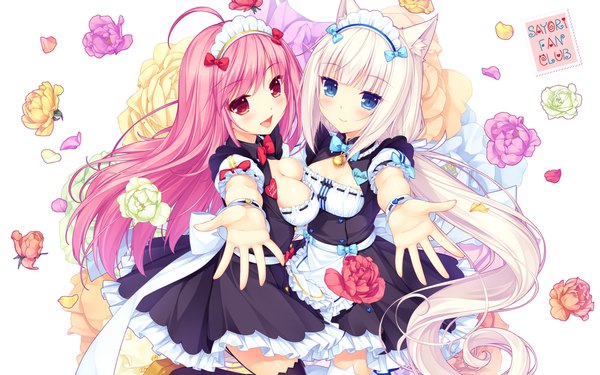 Anime picture 1920x1200 with neko paradise original neko works (studio) vanilla (nekopara) lily index sayori long hair blush highres breasts open mouth blue eyes light erotic smile twintails multiple girls signed animal ears pink hair cleavage