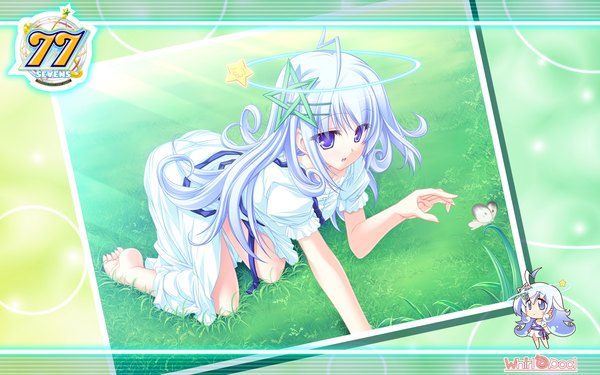 Anime picture 1920x1200 with 77 kuu (77) tenmaso long hair highres blue eyes wide image blue hair barefoot wallpaper kneeling chibi girl dress hair ornament plant (plants) white dress insect butterfly grass