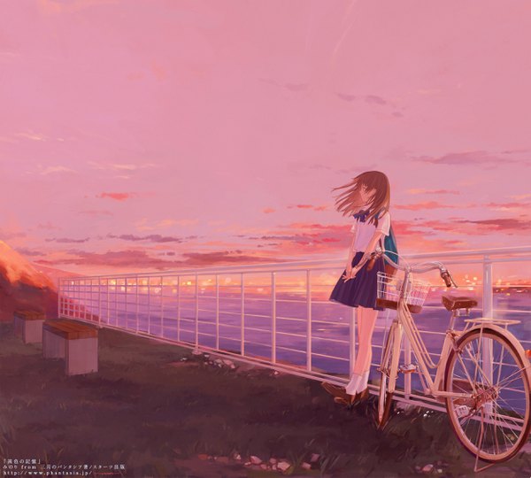 Anime picture 2500x2250 with akaneiro no kioku 72 (nananatsu) single long hair highres brown hair brown eyes looking away sky cloud (clouds) full body outdoors profile wind official art twilight girl uniform school uniform sea