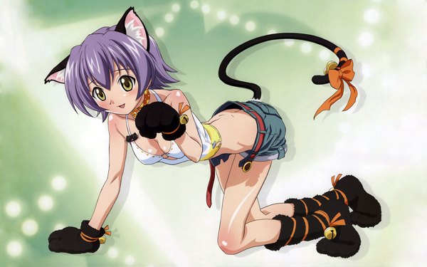 Anime picture 1920x1200 with mahou sensei negima! izumi ako ookaji hiroyuki highres light erotic wide image animal ears cat ears wallpaper