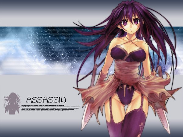 Anime picture 1024x768 with ragnarok online assassin (ragnarok online) single long hair looking at viewer fringe light erotic hair between eyes standing purple eyes holding purple hair character names dual wielding highleg assassin girl thighhighs weapon garter straps