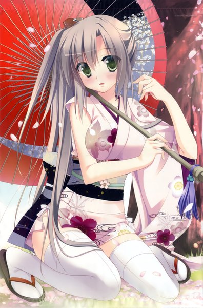 Anime picture 3041x4612 with sesena yau single long hair tall image looking at viewer blush highres open mouth light erotic sitting green eyes absurdres traditional clothes japanese clothes grey hair cherry blossoms girl thighhighs petals white thighhighs