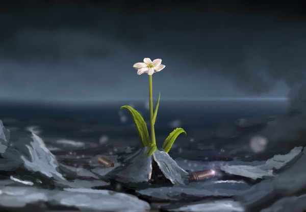 Anime picture 1559x1080 with original sylar113 no people flower (flowers) plant (plants) shell casing