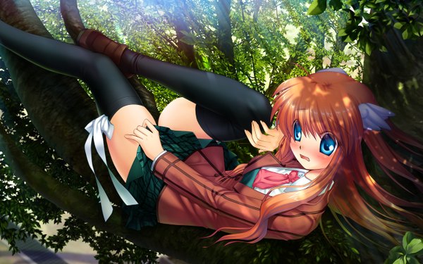 Anime picture 1280x800 with blue eyes brown hair wide image girl thighhighs ribbon (ribbons) plant (plants) tree (trees) serafuku