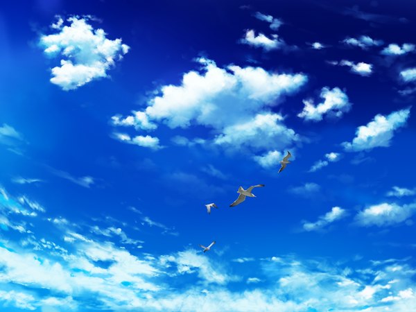 Anime picture 1024x768 with lovely x cation 2 hibiki works game cg sky cloud (clouds) landscape animal bird (birds)
