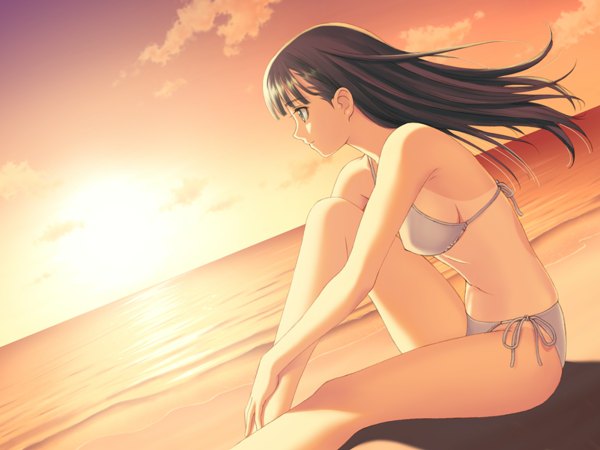 Anime picture 1200x900 with tony taka single long hair fringe breasts brown hair sky profile wind dutch angle legs beach evening sunset horizon girl swimsuit bikini sea side-tie bikini