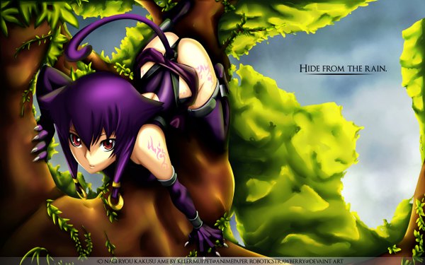 Anime picture 2560x1600 with original nagi ryou single looking at viewer highres short hair light erotic red eyes wide image signed animal ears purple hair tail inscription tattoo wallpaper demon girl demon tail girl thighhighs