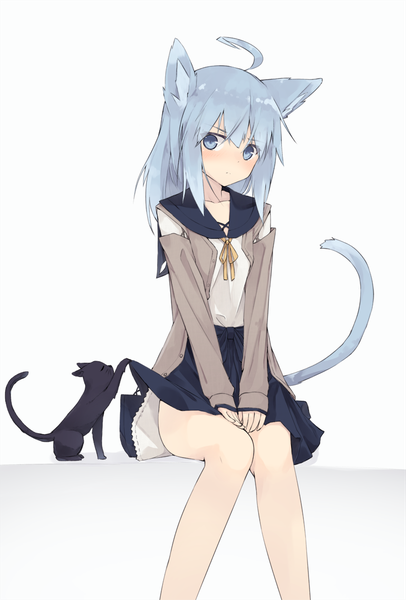 Anime picture 791x1168 with original nagishiro mito long hair tall image looking at viewer blush fringe blue eyes light erotic simple background hair between eyes white background sitting animal ears blue hair ahoge bent knee (knees) tail head tilt animal tail