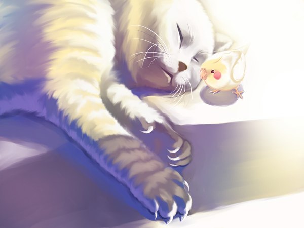 Anime picture 1024x768 with sleeping animal bird (birds) cat fishball