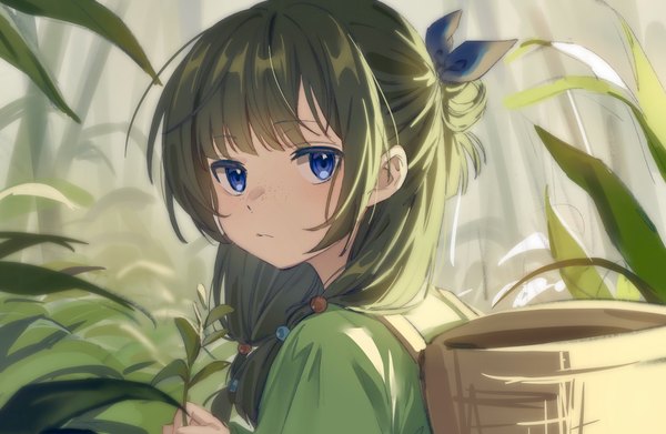 Anime picture 2426x1579 with kusuriya no hitorigoto maomao (kusuriya no hitorigoto) tazaki yokka single long hair looking at viewer fringe highres blue eyes upper body outdoors looking back green hair half updo freckles girl plant (plants)