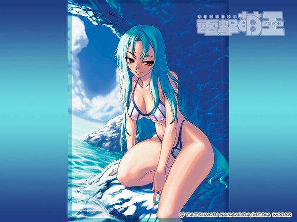 Anime picture 1024x768 with long hair light erotic brown eyes blue hair wallpaper swimsuit bikini