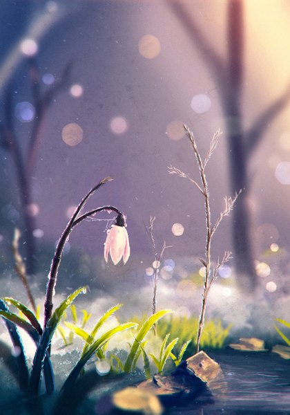 Anime picture 1000x1429 with original sylar113 tall image sunlight blurry depth of field snow no people nature spring morning flower (flowers) plant (plants) tree (trees) water grass stone (stones)