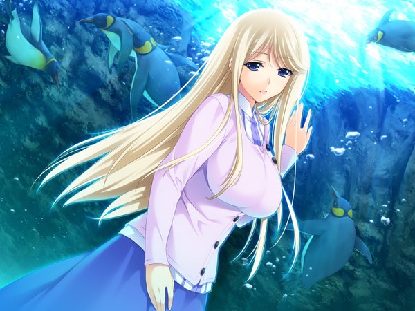 Anime picture 1500x1125 with lovely x cation 2 hibiki works yoshinoya seine iizuki tasuku long hair looking at viewer breasts open mouth blue eyes blonde hair large breasts game cg girl dress penguin aquarium