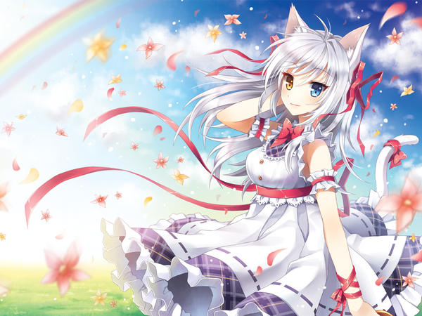 Anime picture 1280x960 with original aina rive mauve single long hair animal ears cloud (clouds) white hair cat ears cat tail heterochromia girl dress flower (flowers) ribbon (ribbons) hair ribbon petals bowtie