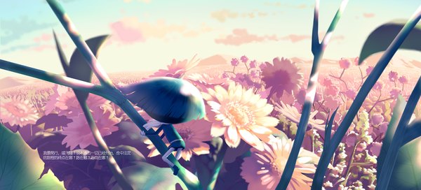 Anime picture 1732x787 with yuliuyang highres wide image sky cloud (clouds) green hair from behind inscription boy flower (flowers) plant (plants) scarf