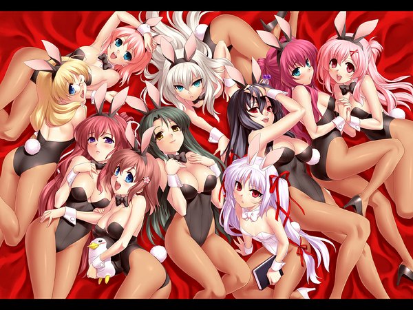 Anime picture 1024x768 with 11 eyes doga kobo kusakabe misuzu momono shiori minase yuka hirohara yukiko kuroshiba kanae kouno mio lisette vertorre azuma shione natsuki kaori zen (kamuro) light erotic animal ears cleavage wallpaper bunny girl girl pantyhose glasses