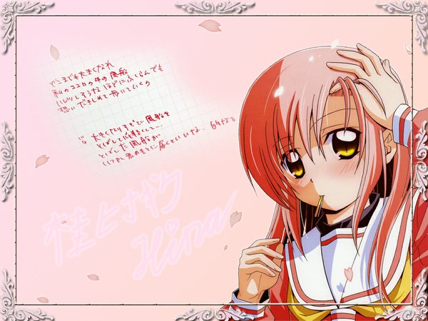 Anime picture 1024x768 with hayate no gotoku! katsura hinagiku tagme