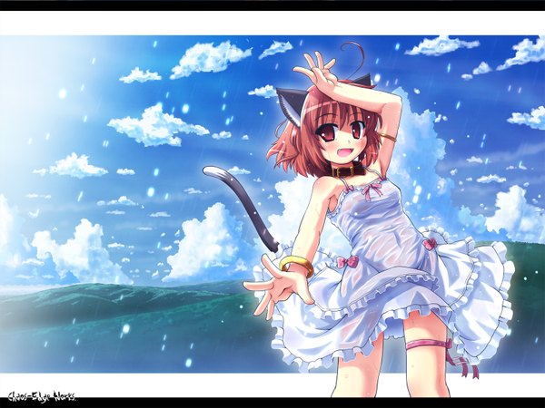 Anime picture 1600x1200 with etogami kazuya animal ears tail cat ears wallpaper dress