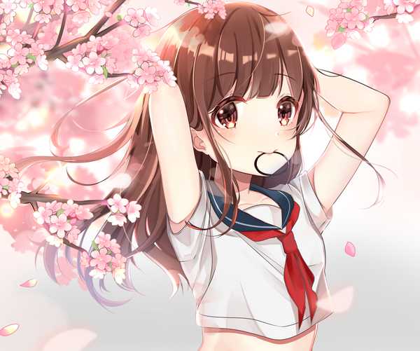 Anime picture 1793x1500 with original katsushika pachi single long hair blush highres brown hair holding brown eyes upper body mouth hold cherry blossoms arms behind head spring hair tie in mouth girl uniform petals serafuku hair tie