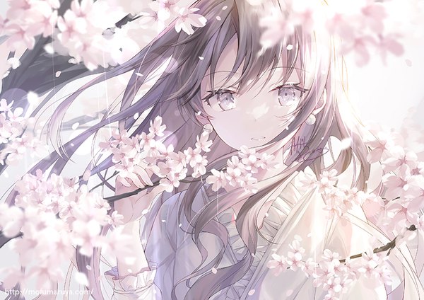 Anime picture 842x595 with original kagachi saku single long hair looking at viewer fringe signed upper body outdoors parted lips wind grey hair cherry blossoms silver eyes spring girl flower (flowers) plant (plants) earrings petals
