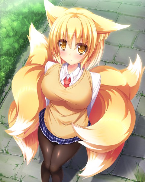 Anime picture 1200x1500 with touhou yakumo ran liya single tall image blush fringe short hair breasts light erotic blonde hair hair between eyes large breasts animal ears yellow eyes tail animal tail multicolored hair from above :o