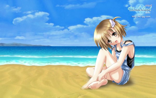 Anime picture 1680x1050 with wonderland online wide image tagme