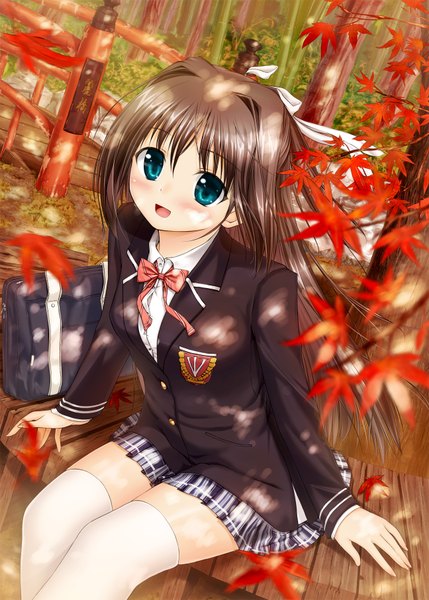 Anime picture 1296x1812 with mikuni mizuki long hair tall image brown hair green eyes girl thighhighs white thighhighs serafuku leaf (leaves)