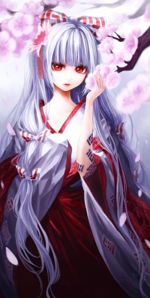 Anime picture 606x1200 with touhou fujiwara no mokou iseki (kuroshura no tabiji) single long hair tall image looking at viewer red eyes white hair traditional clothes japanese clothes hair flower lips cherry blossoms girl hair ornament flower (flowers) bow plant (plants) hair bow