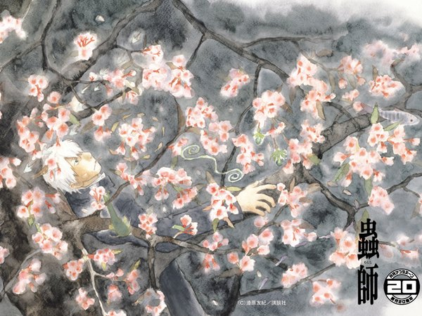 Anime picture 1024x768 with mushishi afternoon (magazine) ginko urushibara yuki flower (flowers)