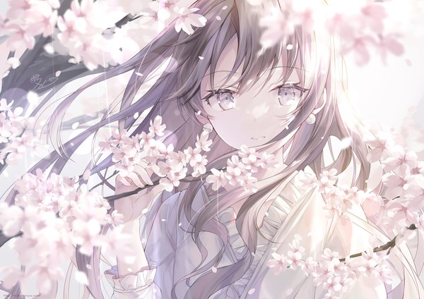 Anime picture 3000x2121 with original kagachi saku single long hair looking at viewer fringe highres upper body outdoors parted lips wind grey hair cherry blossoms silver eyes spring girl flower (flowers) plant (plants) earrings petals