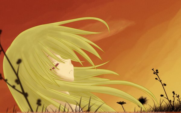 Anime picture 1920x1200 with omamori himari zexcs shizuku (omamori himari) long hair highres wide image eyes closed green hair vector orange background girl