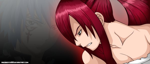 Anime picture 2000x855 with fairy tail erza scarlet jellal fernandes rigoberto60 long hair fringe highres short hair breasts light erotic simple background wide image bare shoulders brown eyes blue hair ponytail red hair profile light smile hair over one eye