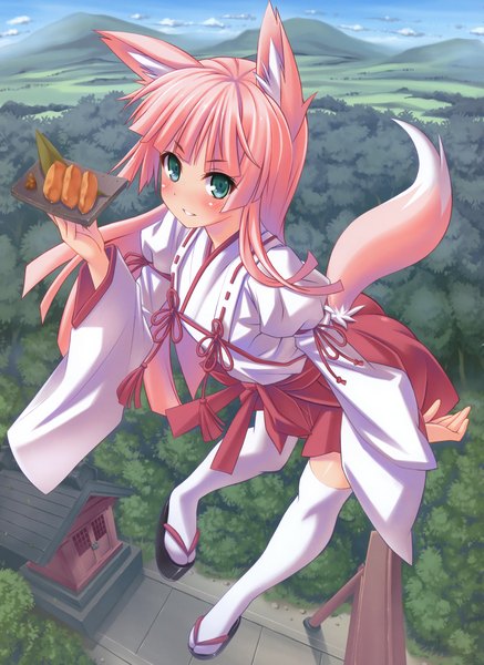 Anime picture 2462x3377 with higuchi isami single long hair tall image blush highres green eyes pink hair traditional clothes fox ears fox tail fox girl girl thighhighs white thighhighs
